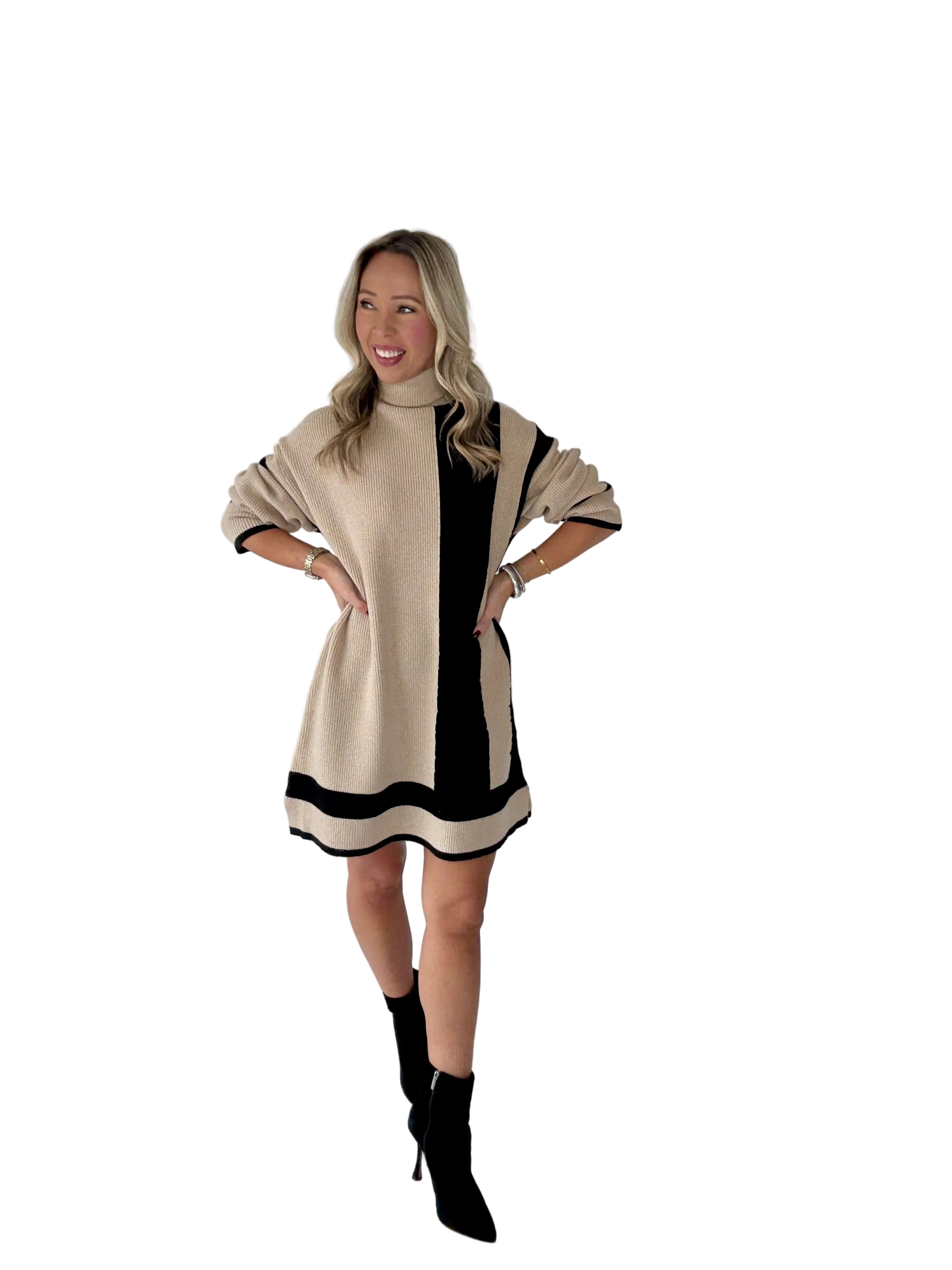 Talia - Refined Contrast Turtle Neck Sweater Dress