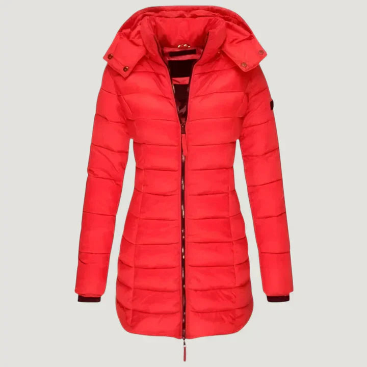 Stylish and Protective Winter Jacket